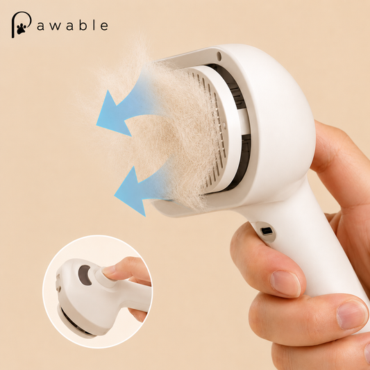 Pawable SteamBrush™