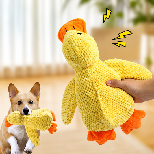QuackPal™